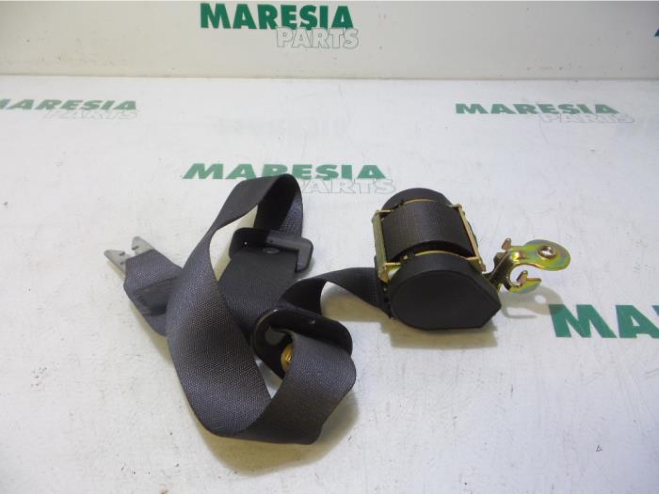 Renault - Megane Scenic - Front seatbelt, right
