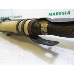 Renault - Fluence - Airbag hemel links