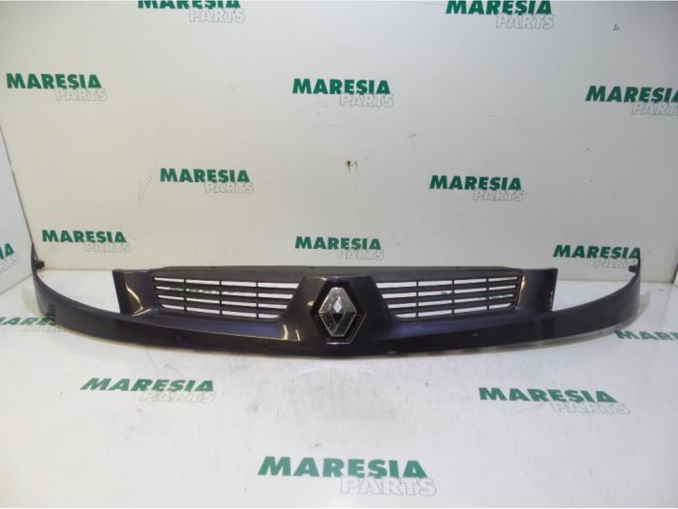 Renault - Kangoo - Grille
