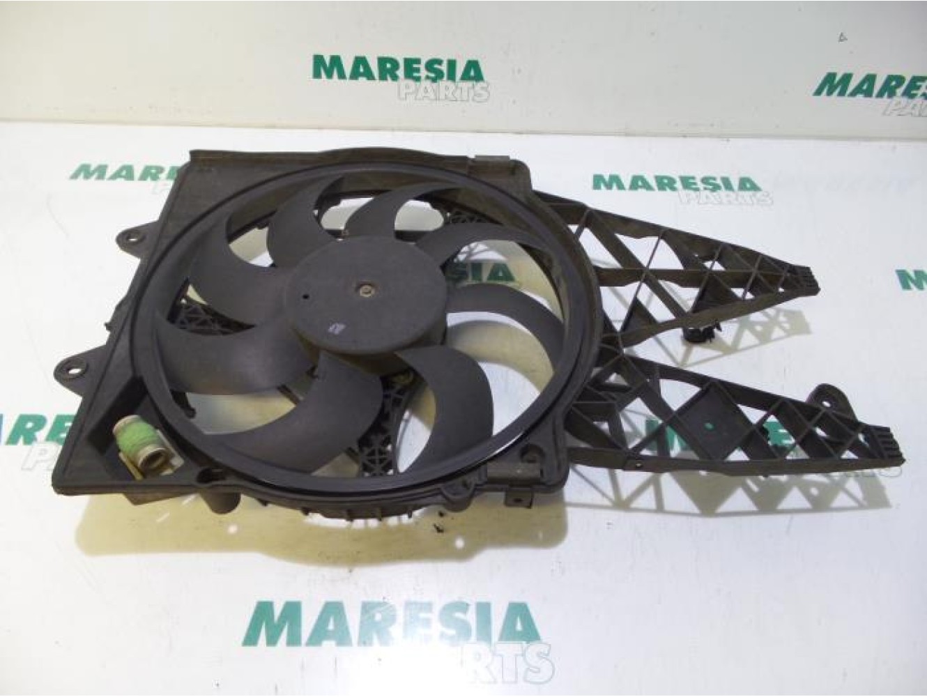 Fiat - Punto - Kühlgebläse Motor