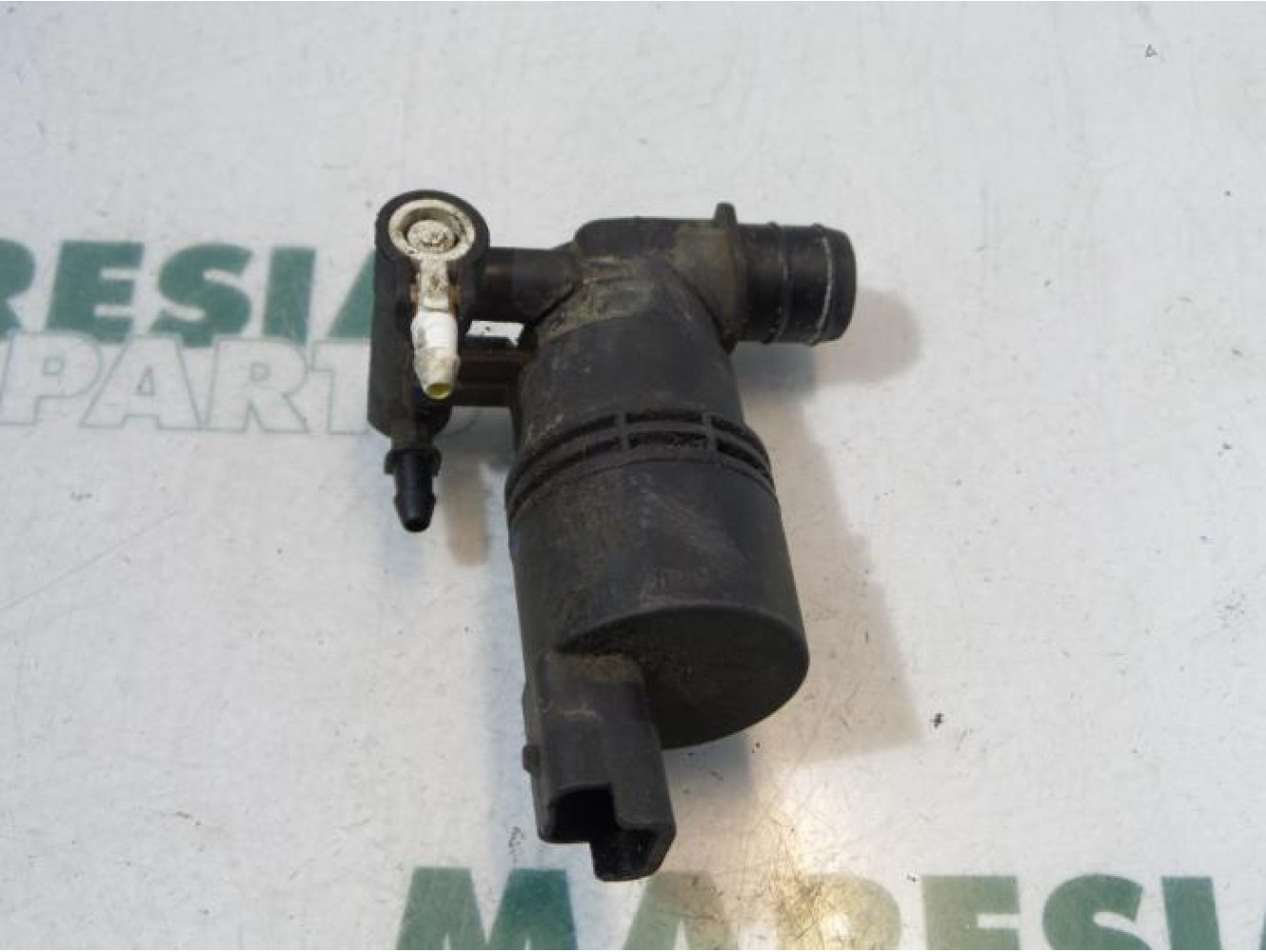 Renault - Laguna - Scheibensprüherpumpe vorne