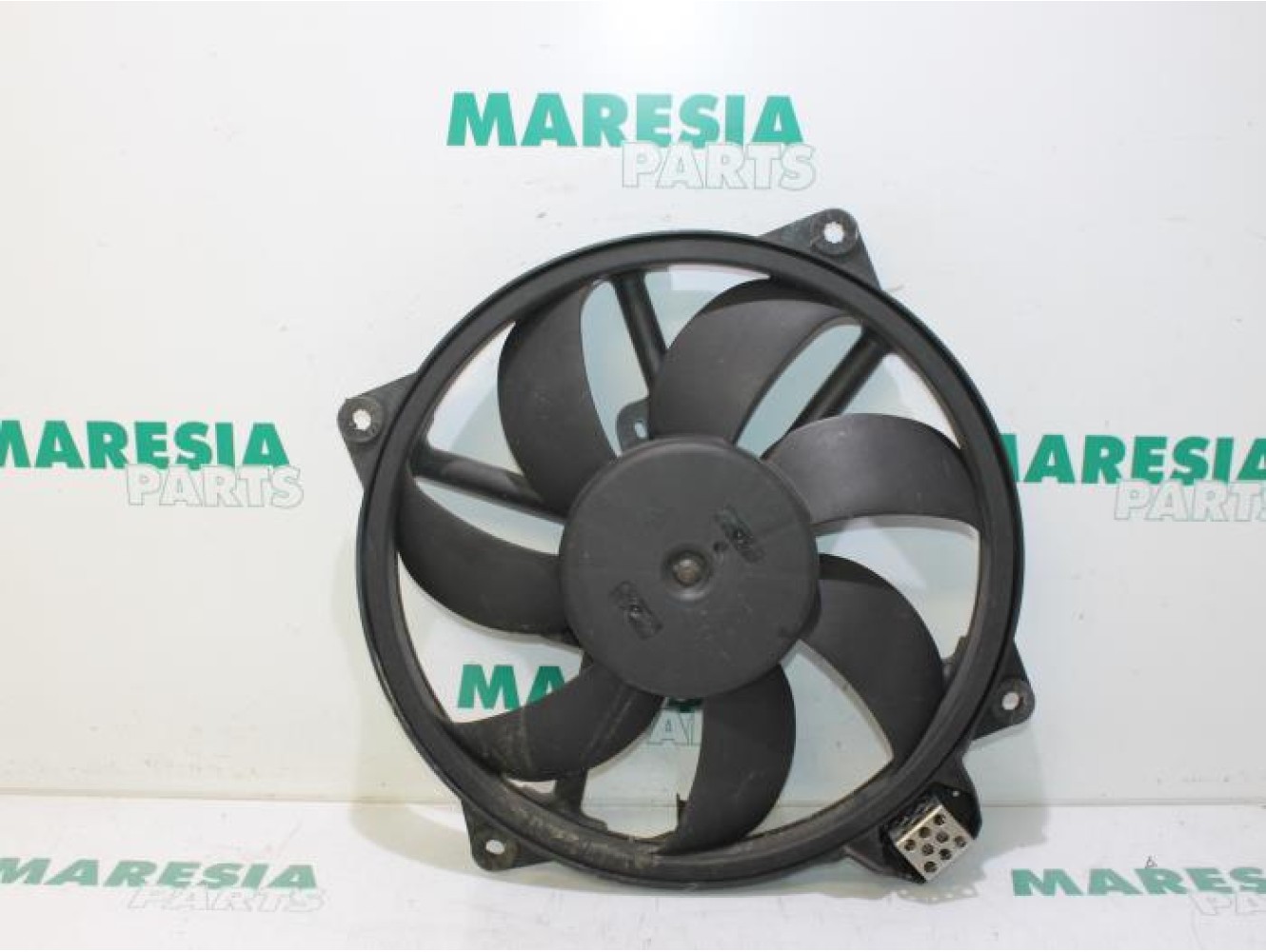 Renault - Megane Scenic - Kühlgebläse Motor