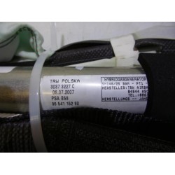Citroen - C4 Picasso - Airbag hemel links
