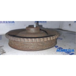 Fiat - Brava - Krukas Poelie