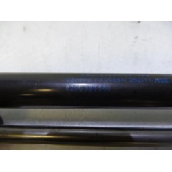 Renault - Twingo - Set of tailgate gas struts