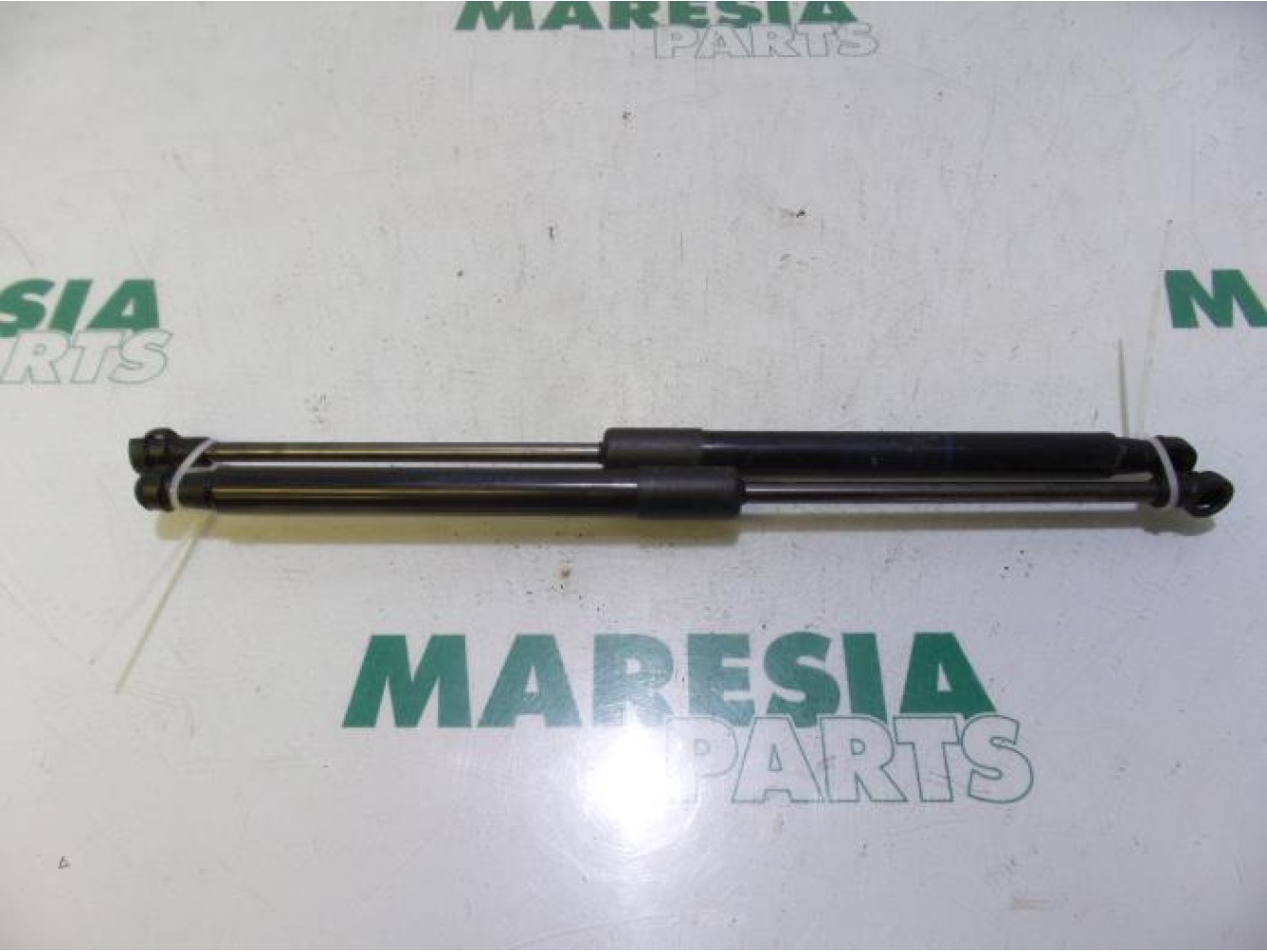 Renault - Twingo - Set of tailgate gas struts