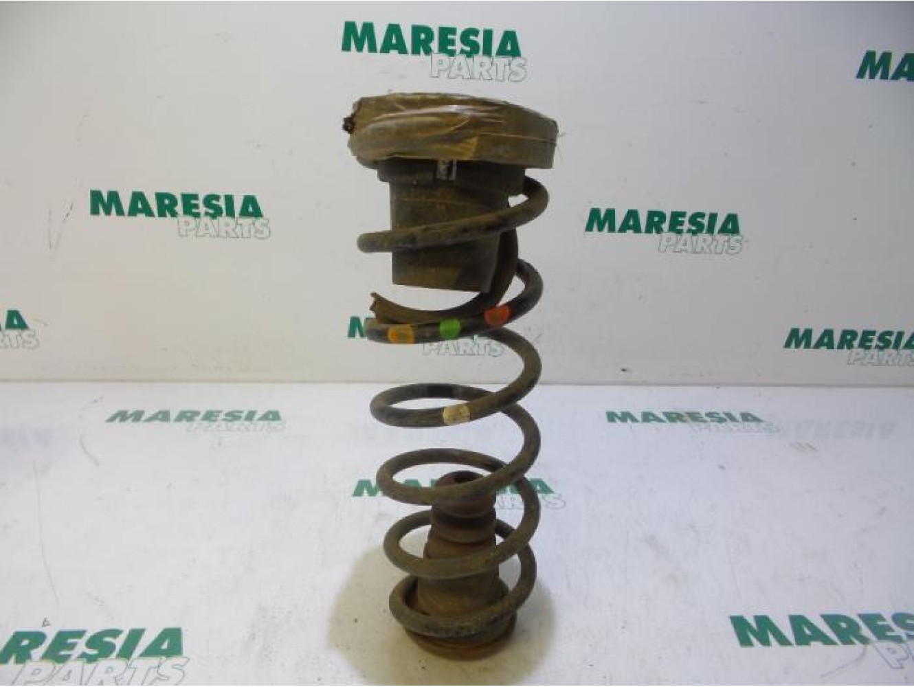 Citroen - Berlingo - Rear coil spring