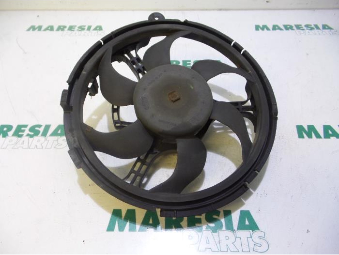 Fiat - Stilo - Koelvin Motor