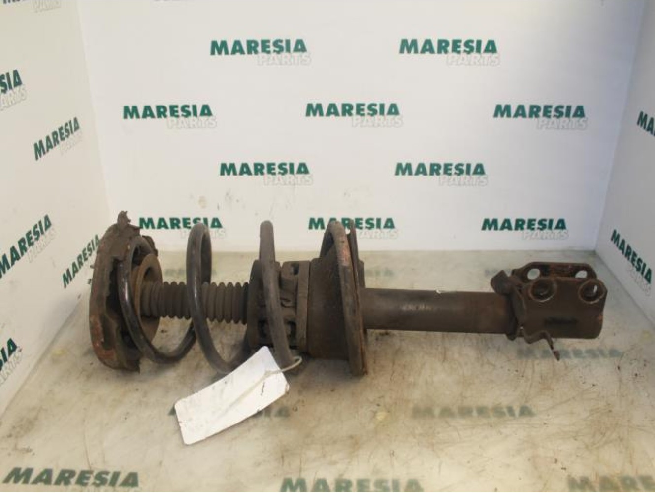 Renault - Megane Scenic - Front shock absorber rod, right