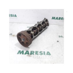 Citroen - Xsara - Camshaft