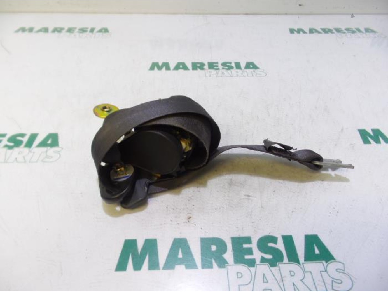 Renault - Megane Scenic - Sicherheitsgurt rechts vorne