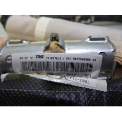 Citroen - C3 - Airbag hemel links