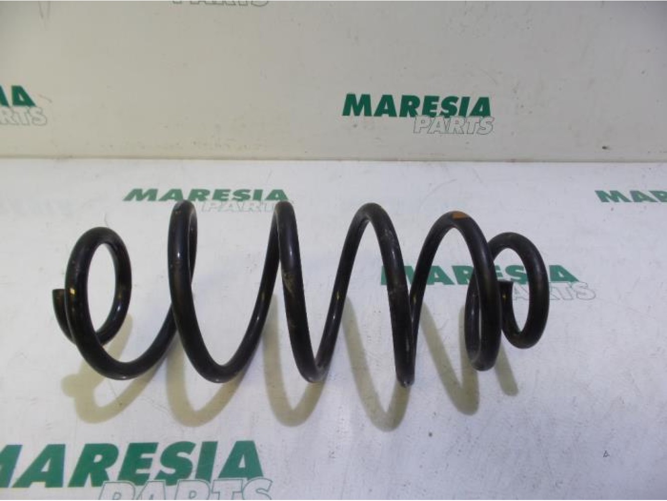 Fiat - Doblo - Rear coil spring