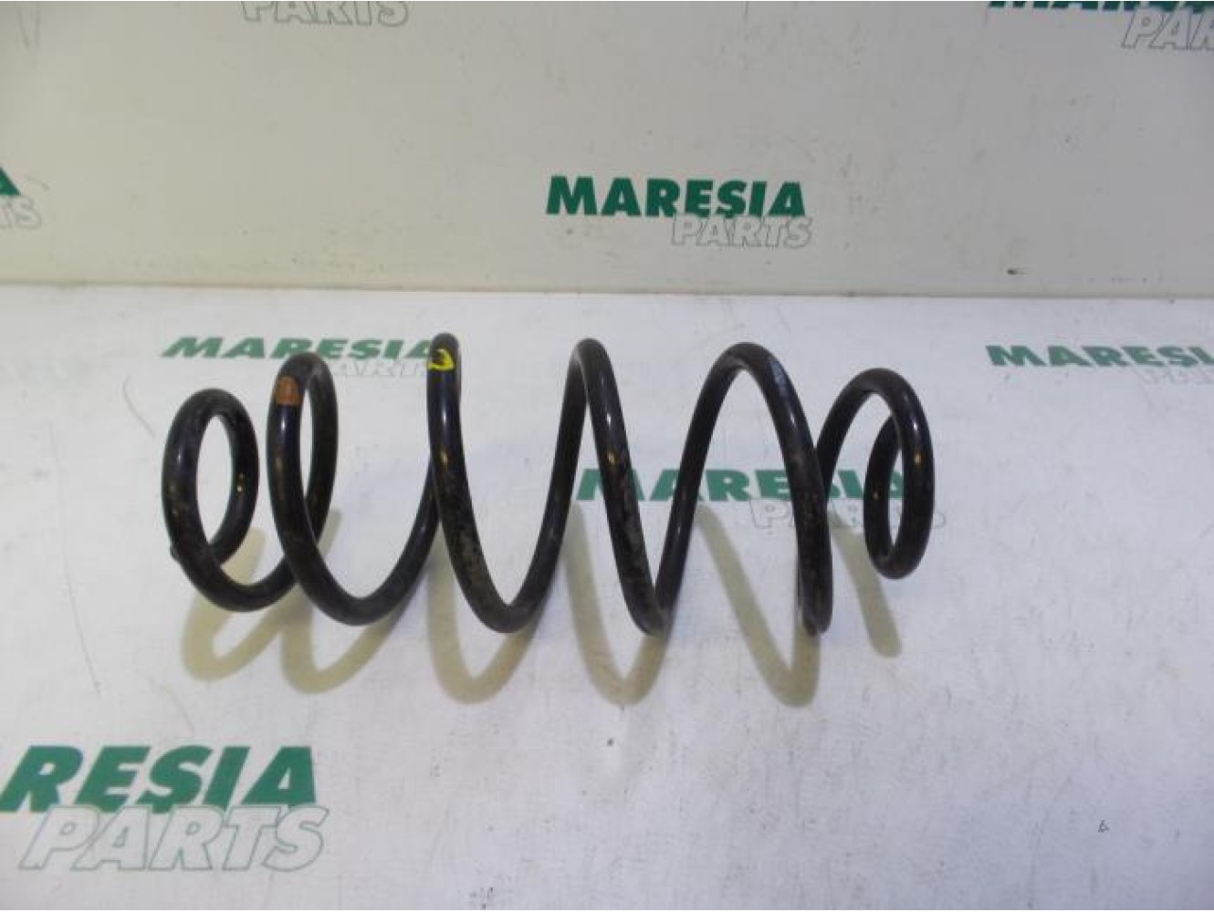 Fiat - Doblo - Rear coil spring