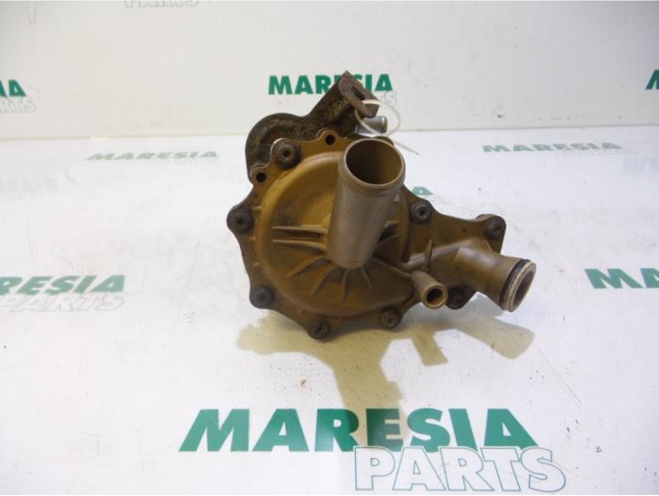 Peugeot - Boxer - Wasserpumpe