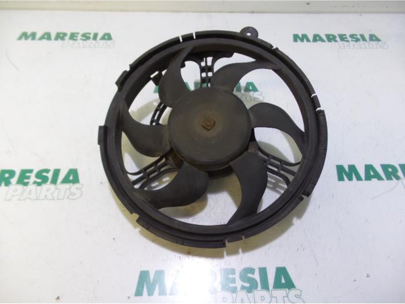 Fiat - Stilo - Koelvin Motor