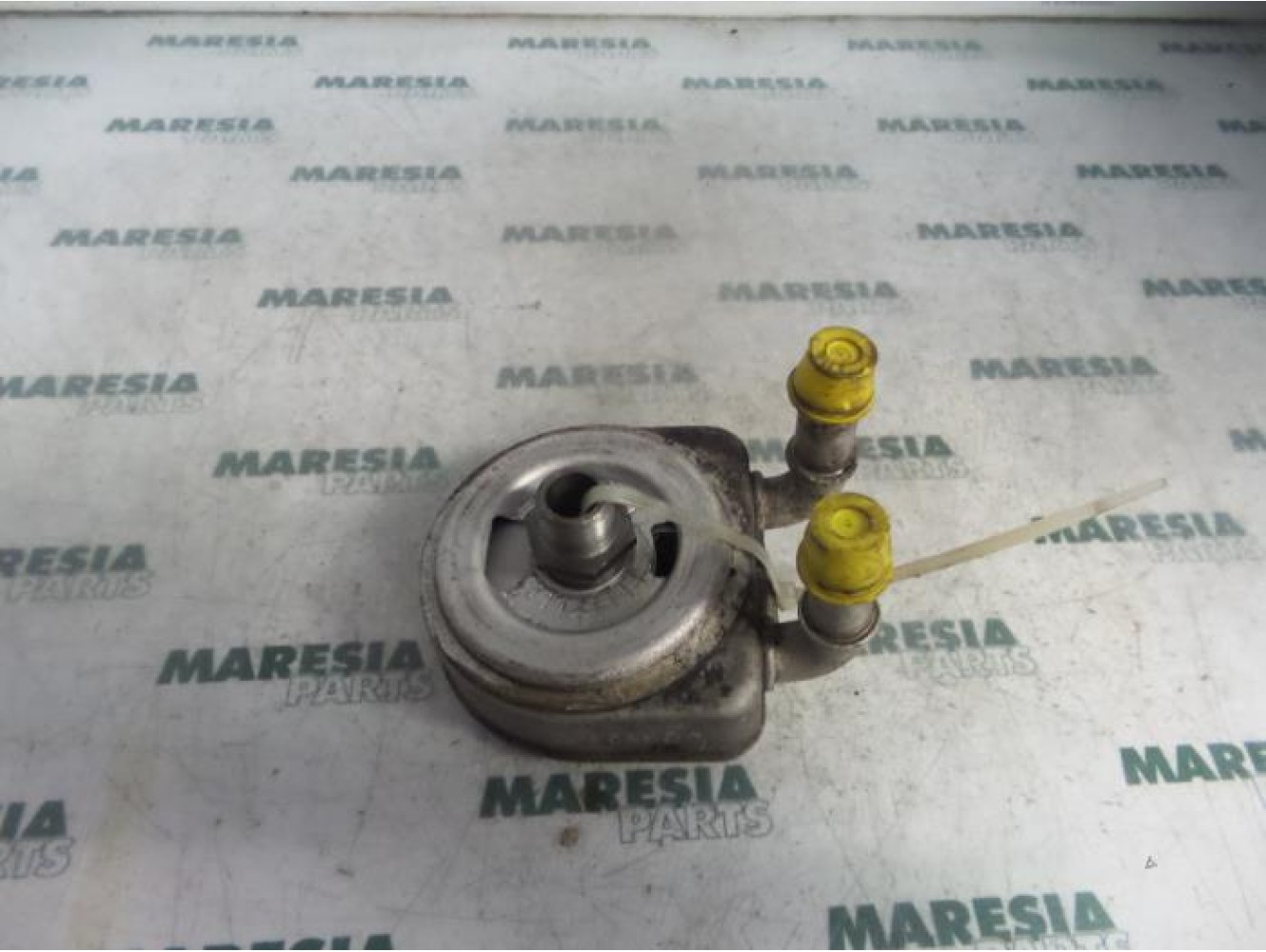 Citroen - Xsara - Oil cooler