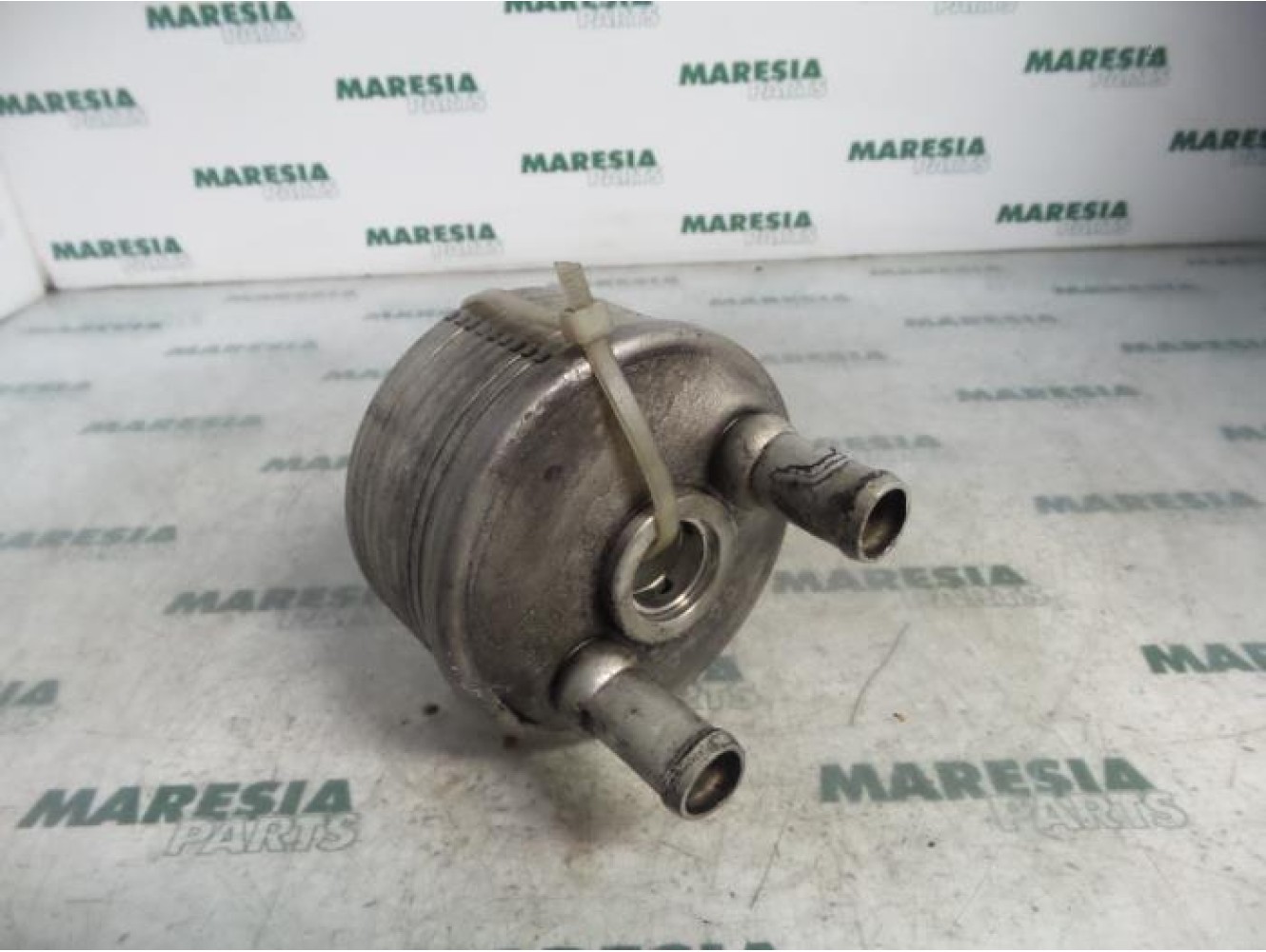 Lancia - Thesis - Refroidisseur d'huile