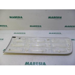 Citroen - C4 Cactus - Door strip