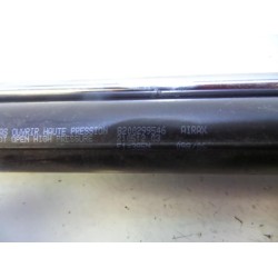 Renault - Clio - Set of tailgate gas struts