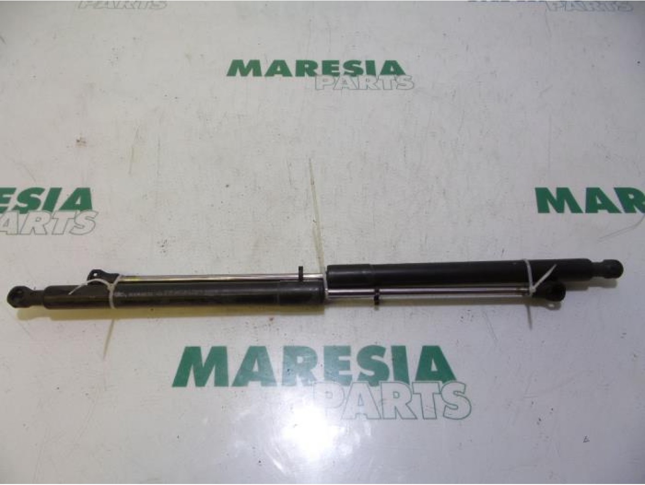 Renault - Clio - Set of tailgate gas struts