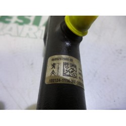 Peugeot - Expert - Galerij (Injectie)
