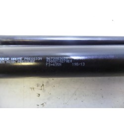 Peugeot - 208 - Set of tailgate gas struts