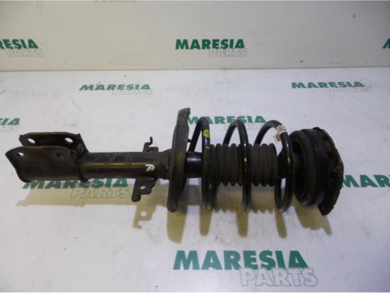 Renault - Megane Scenic - Front shock absorber rod, right