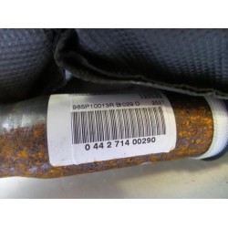 Renault - Megane Scenic - Airbag hemel links