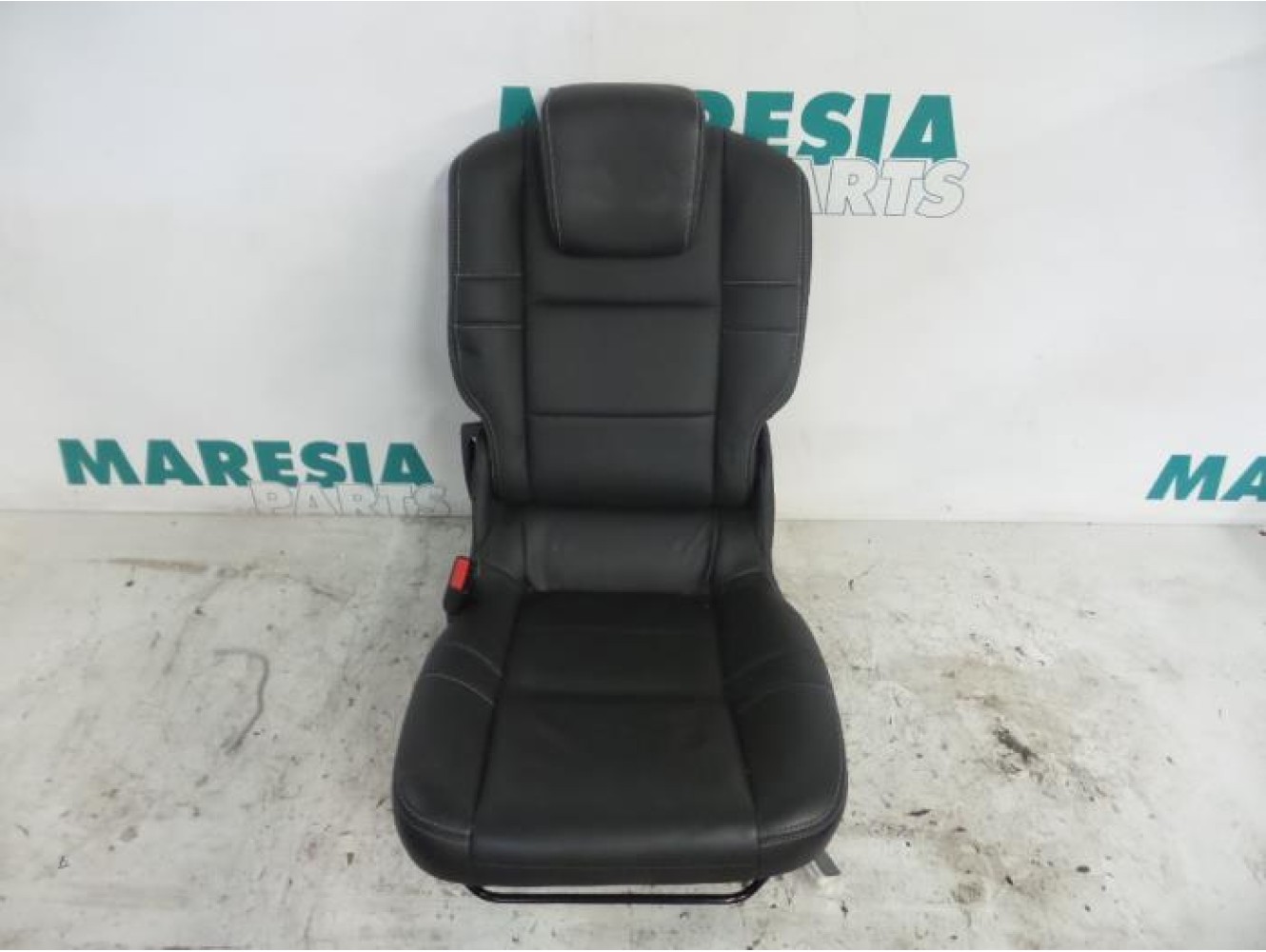 Renault - Megane Scenic - Rear seat