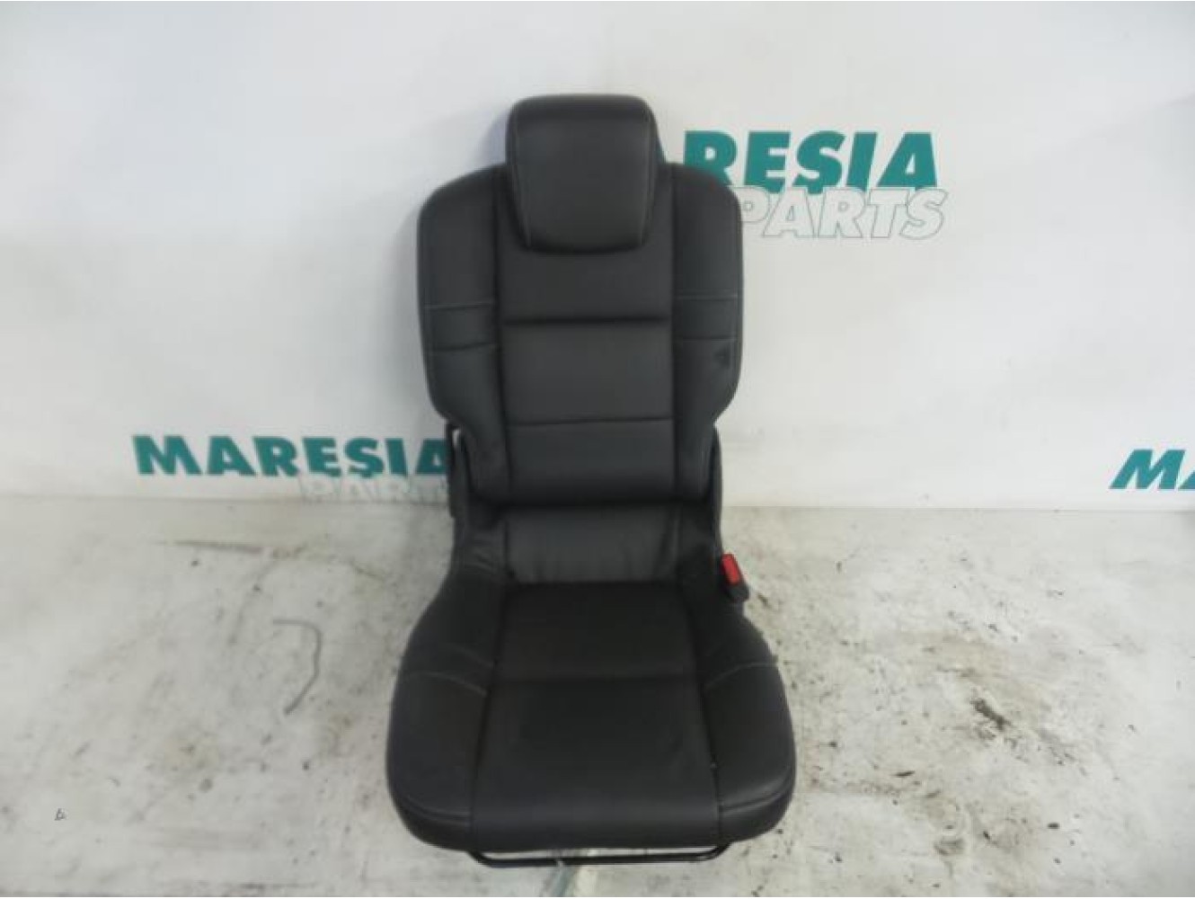 Renault - Megane Scenic - Sitz hinten