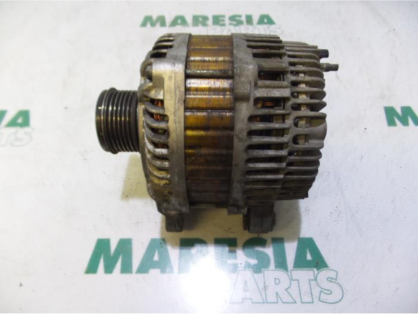 Renault - Megane Scenic - Dynamo