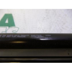 Renault - Megane Scenic - Set of tailgate gas struts