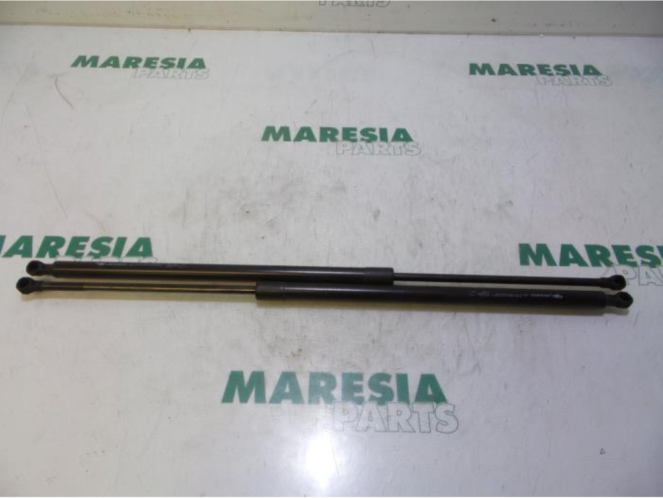 Renault - Megane Scenic - Set of tailgate gas struts