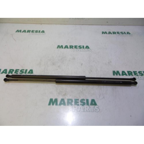 Renault - Megane Scenic - Set of tailgate gas struts
