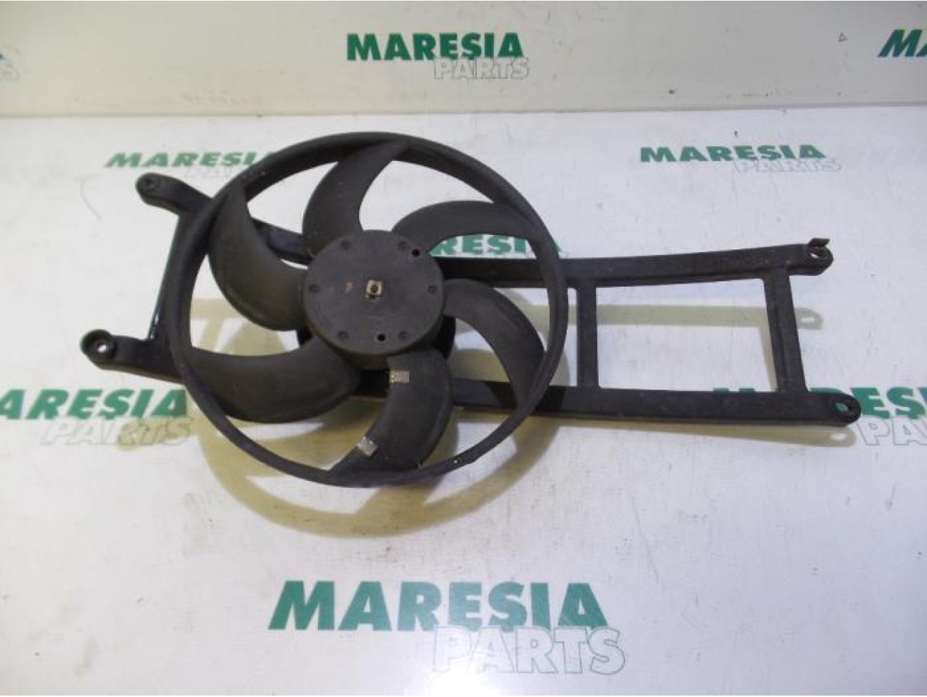 Fiat - Panda - Koelvin Motor