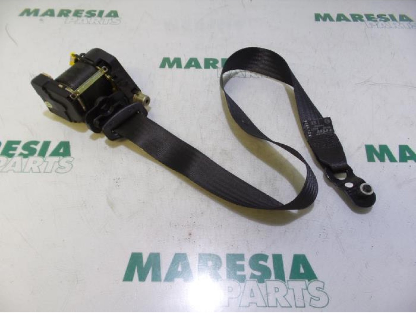 Lancia - Thesis - Front seatbelt, right