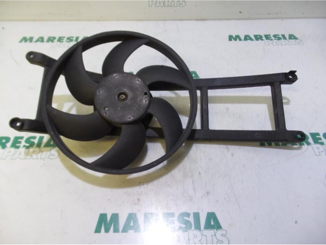 Fiat - Panda - Koelvin Motor