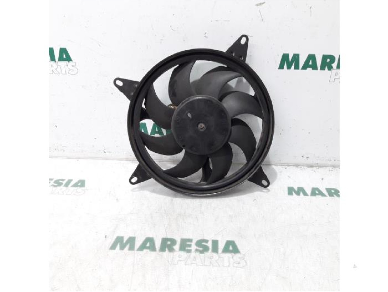 Fiat - Panda - Kühlgebläse Motor