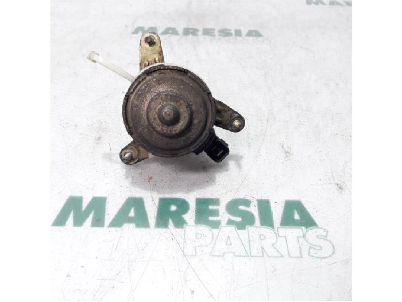 Citroen - Berlingo - Fan motor