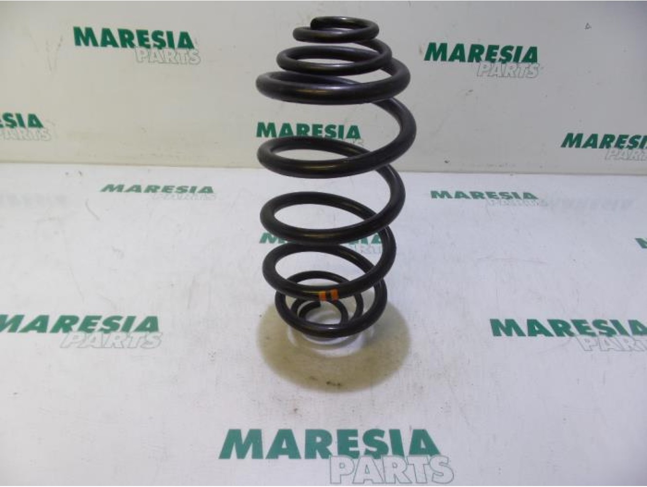Renault - Kangoo - Rear coil spring