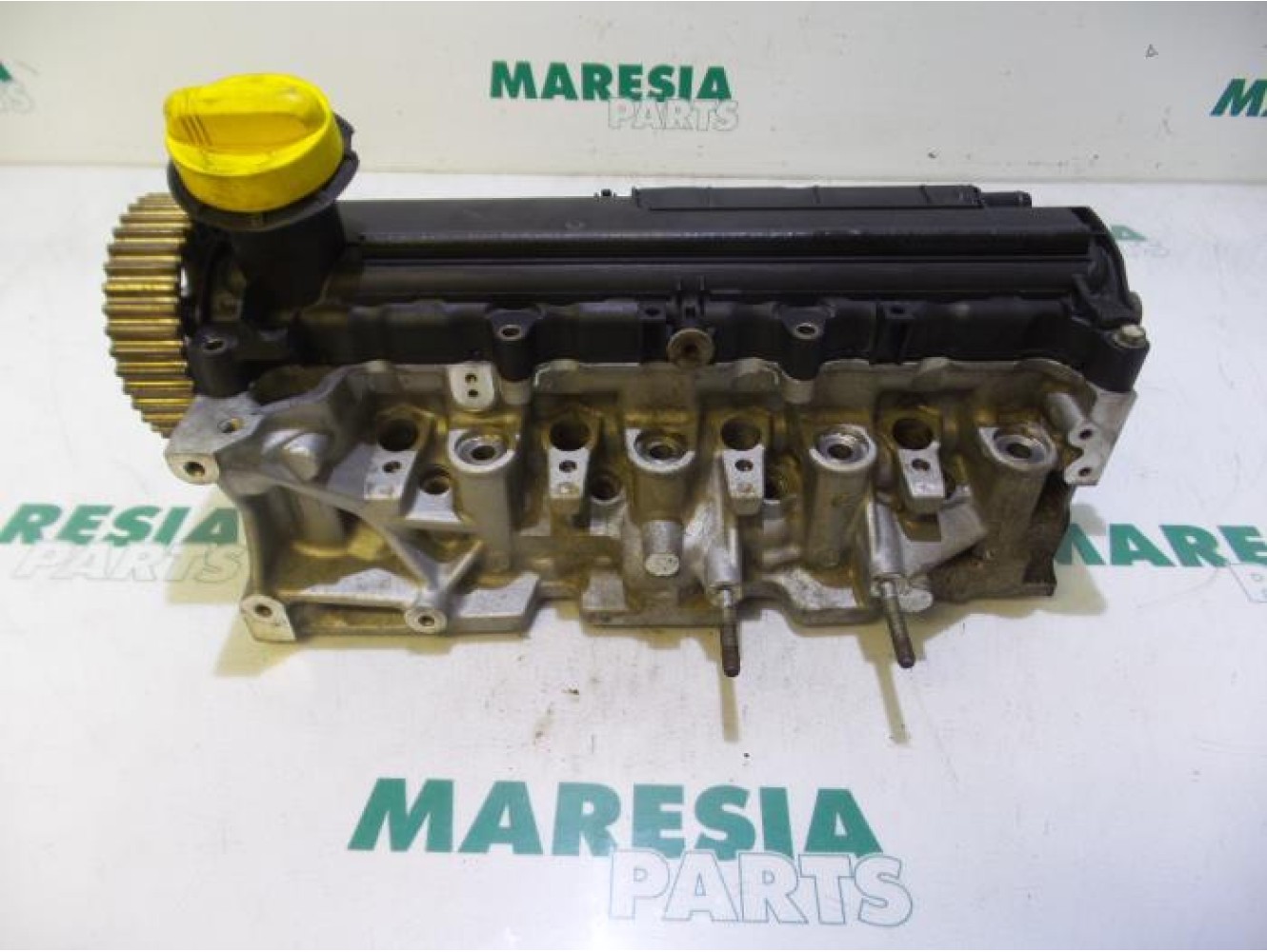 Renault - Megane Scenic - Cylinder head