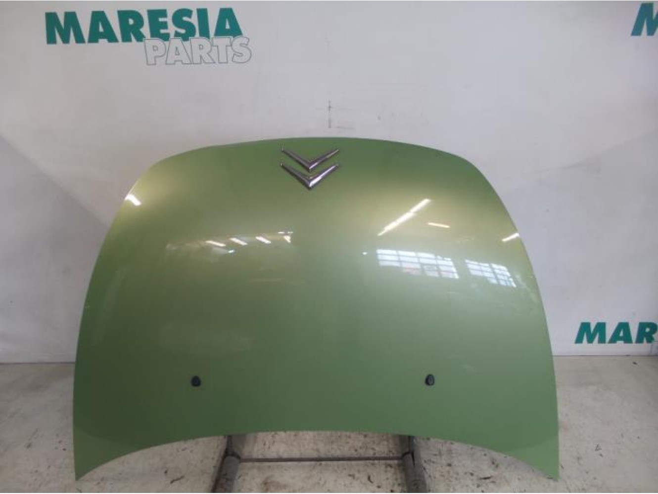 Citroen - Pluriel - Motorhaube