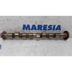 Fiat - Panda - Camshaft