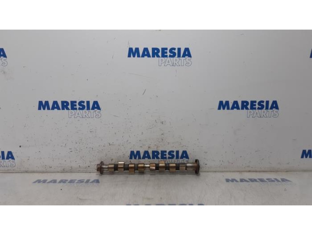 Fiat - Panda - Camshaft