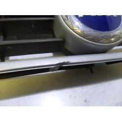 Fiat - Ducato - Grill