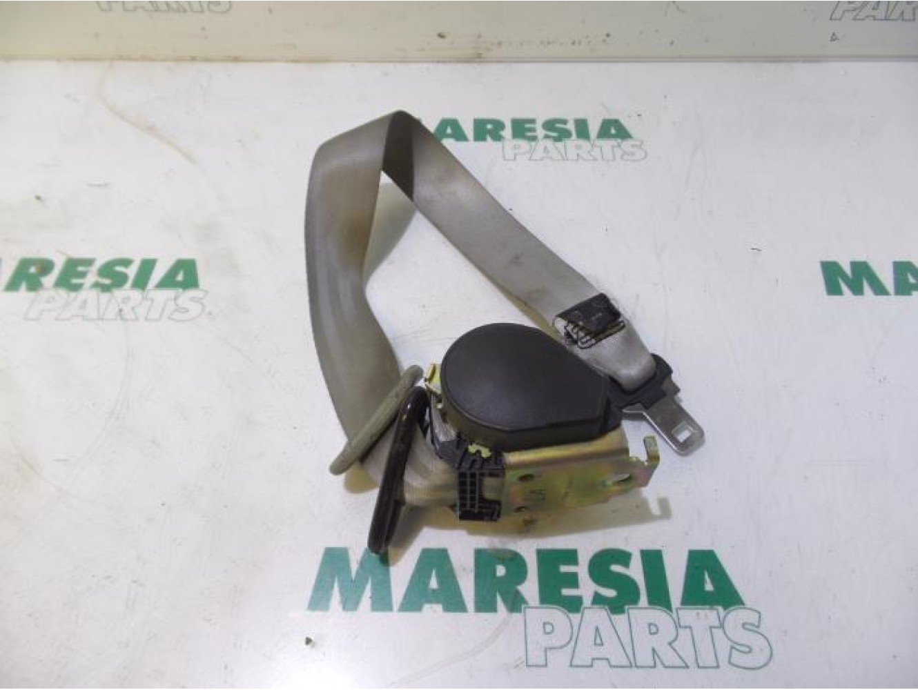 Renault - Megane Scenic - Sicherheitsgurt links hinten