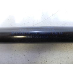 Renault - Megane - Set of tailgate gas struts