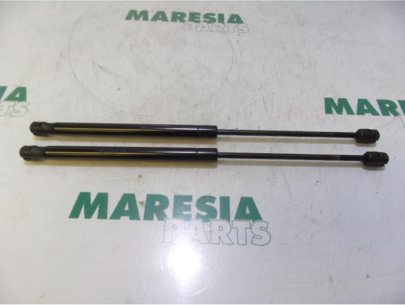 Renault - Megane - Set of tailgate gas struts
