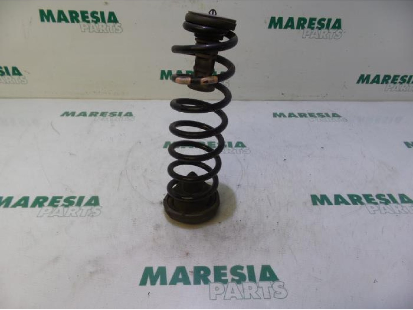 Renault - Megane - Rear coil spring